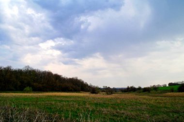 Yeşil tarlası ve bulutlu gökyüzü olan güzel bir manzara.