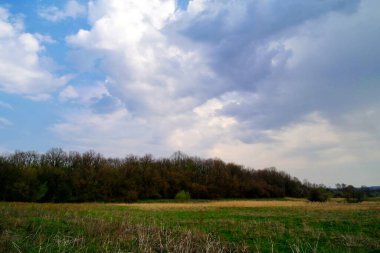 Bir tarlası ve bulutlu gökyüzü olan güzel bir manzara.