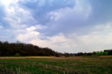 Bir tarlası ve bulutlu gökyüzü olan güzel bir manzara.