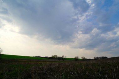 Yeşil tarlası ve bulutlu gökyüzü olan güzel bir manzara.