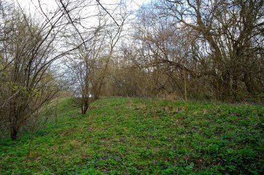 Doğanın güzel manzarası