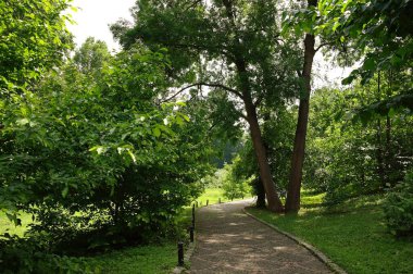 Yaz parkında yol