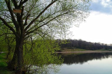 Bahar parkındaki güzel göl manzarası