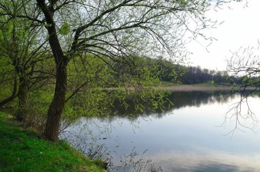 Bahar parkındaki güzel göl manzarası