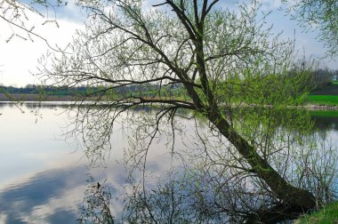 Bahar parkındaki güzel göl manzarası