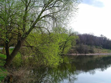 Bahar parkındaki güzel göl manzarası