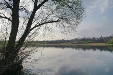 Nehir ve ağaçlarla dolu güzel bir bahar manzarası 