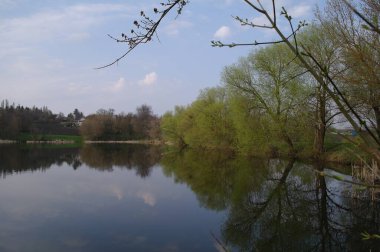 Nehir ve ağaçlarla dolu güzel bir bahar manzarası 