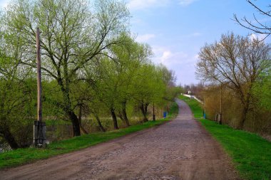 Spring Park 'ta patika yolu