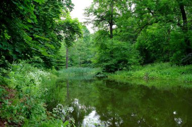 Nehir ve yemyeşil bitki örtüsüyle pitoresk manzara