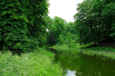 Nehir ve yemyeşil bitki örtüsüyle pitoresk manzara