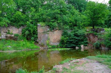 Parktaki eski terk edilmiş ev.