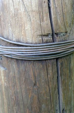 Ağaç desenli eski ahşap çit