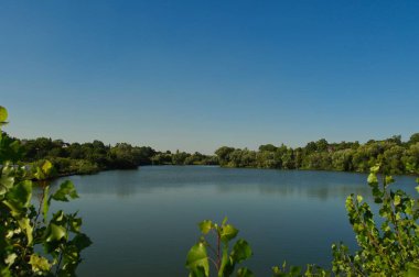Yaz ormanındaki güzel göl manzarası
