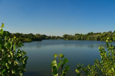 Yaz ormanındaki güzel göl manzarası