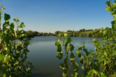 Yaz ormanındaki güzel göl manzarası