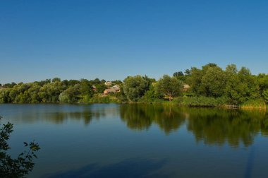 Yaz ormanındaki güzel göl manzarası