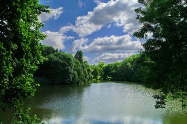 Yaz ormanındaki güzel göl manzarası