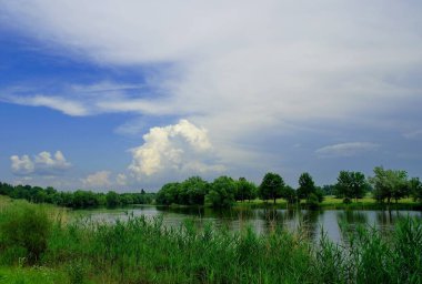 Nehirli güzel yaz manzarası 