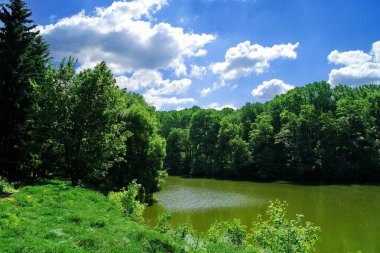 Nehirli güzel yaz manzarası 