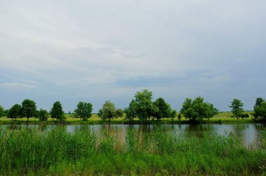 güneşli bir günde nehrin güzel görünümü