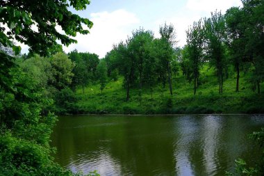 Yaz ormanındaki güzel göl manzarası