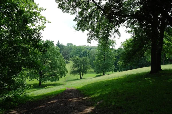 Yaz parkının güzel manzarası