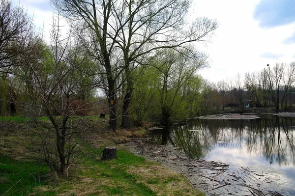Nehir ve bahar ağaçlarıyla güzel bir yaz manzarası 