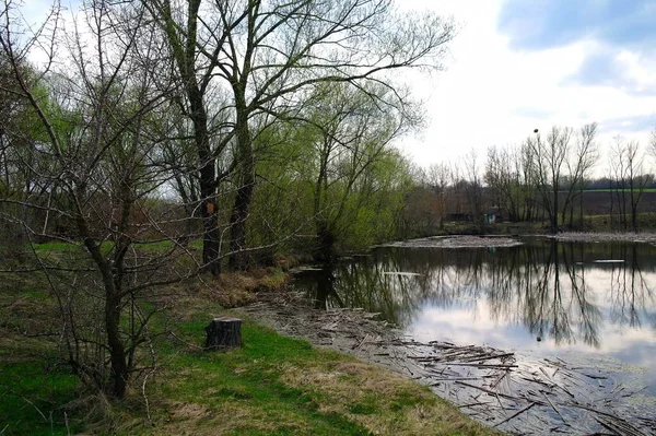 Nehir ve bahar ağaçlarıyla güzel bir yaz manzarası 
