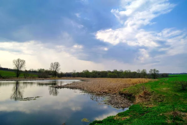 Nehir ve bahar ağaçlarıyla güzel bir yaz manzarası 
