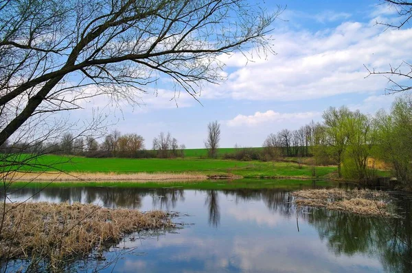 Nehir ve bahar ağaçlarıyla güzel bir yaz manzarası 