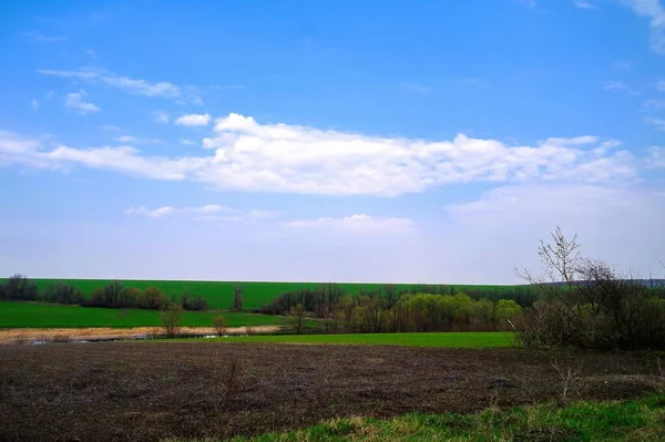 Beau Paysage Avec Champ Herbe Verte Ciel Bleu — Photo