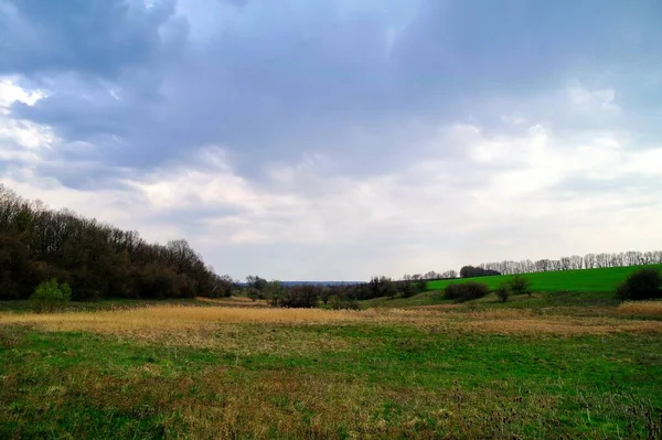 Yeşil tarlası ve bulutlu gökyüzü olan güzel bir manzara.