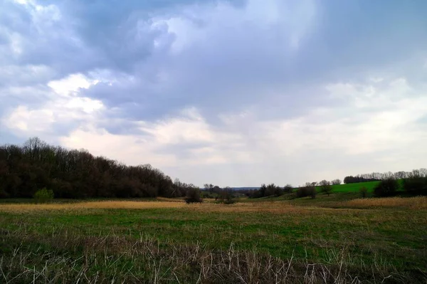 Beau Paysage Avec Champ Vert Ciel Nuageux — Photo