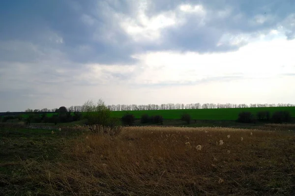 Krásná Krajina Venkovským Polem Jaře — Stock fotografie