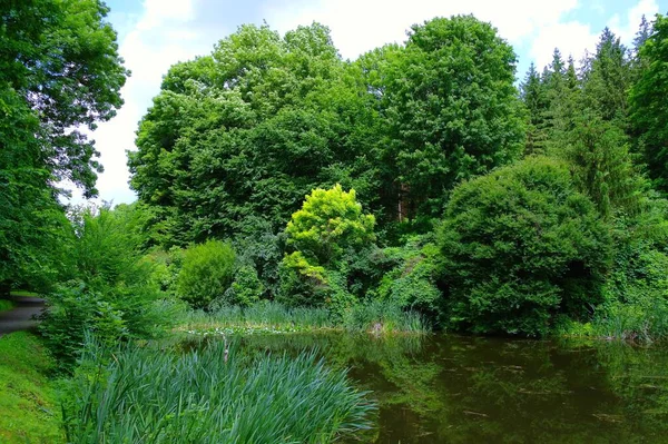 Beau Paysage Été Avec Rivière Arbres Verts — Photo