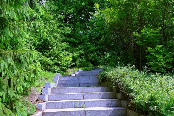 Escaleras Parque Verano — Foto de Stock