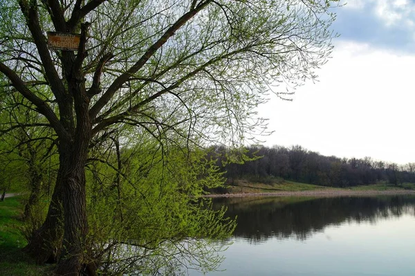 Bahar parkındaki güzel göl manzarası