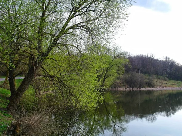 Bahar parkındaki güzel göl manzarası