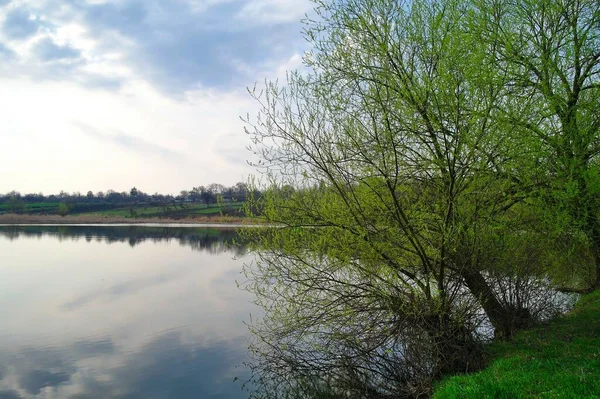 Belle Vue Sur Lac Dans Parc Printemps — Photo