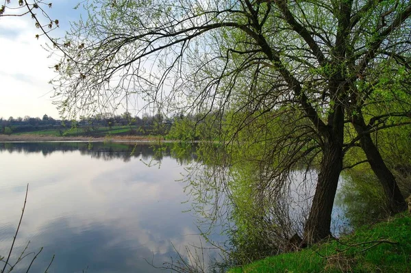 春の公園の湖の美しい景色 — ストック写真