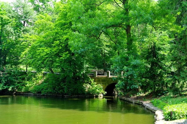 Hermoso Paisaje Verano Con Río Árboles Verdes — Foto de Stock