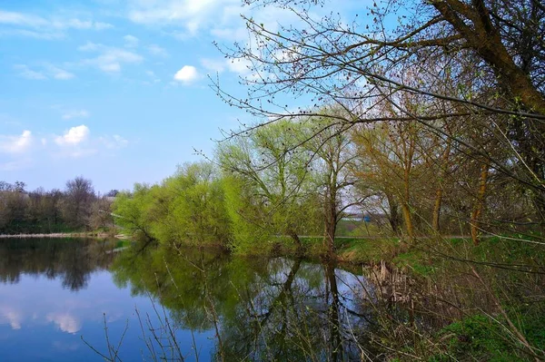 Gyönyörű Kilátás Nyílik Tóra Tavaszi Parkban — Stock Fotó