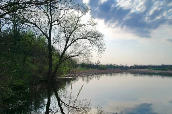 川や木のある美しい春の風景 — ストック写真