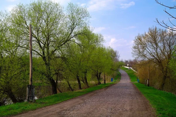 Тропа Дорога Весеннем Парке — стоковое фото