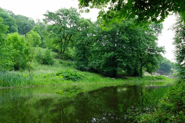 川と緑豊かな植生を持つ絵のような風景 — ストック写真