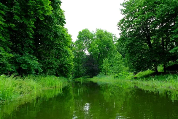 Malowniczy Krajobraz Rzeką Bujną Roślinnością Zieloną — Zdjęcie stockowe
