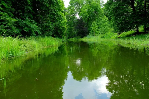 Malerische Landschaft Mit Fluss Und Üppiger Grüner Vegetation — Stockfoto