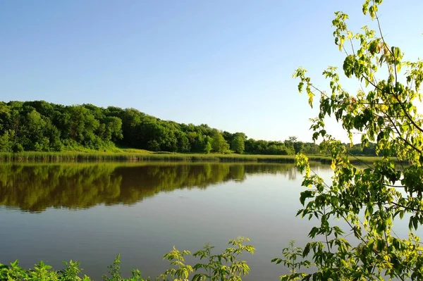 Güneşli bir günde yaz ormanındaki nehrin güzel manzarası