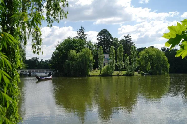 Bella Vista Sul Fiume Nella Foresta Nella Giornata Sole — Foto Stock